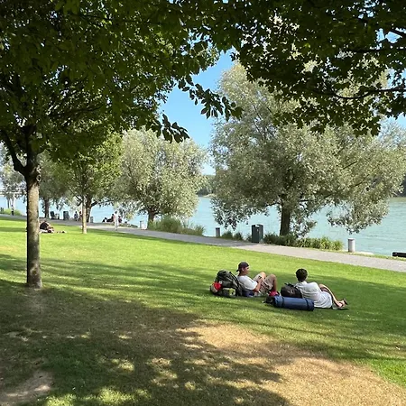 Executive Free Street Parking Appartement