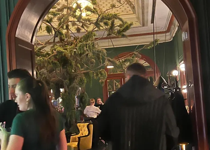 Executive Free Street Parking Bratislava